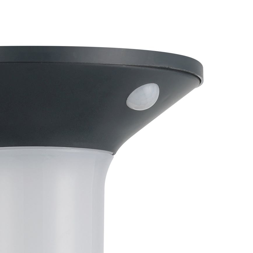 Eglo - LED Outdoor Solar Light with Sensor 6xLED/0,03W/3,7V IP44