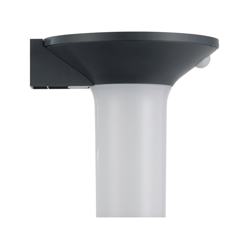 Eglo - LED Outdoor Solar Light with Sensor 6xLED/0,03W/3,7V IP44