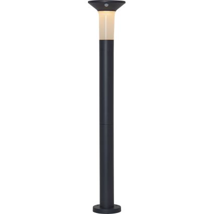 Eglo - LED Outdoor solar lamp with a sensor 6xLED/0,03W/3,7V IP44