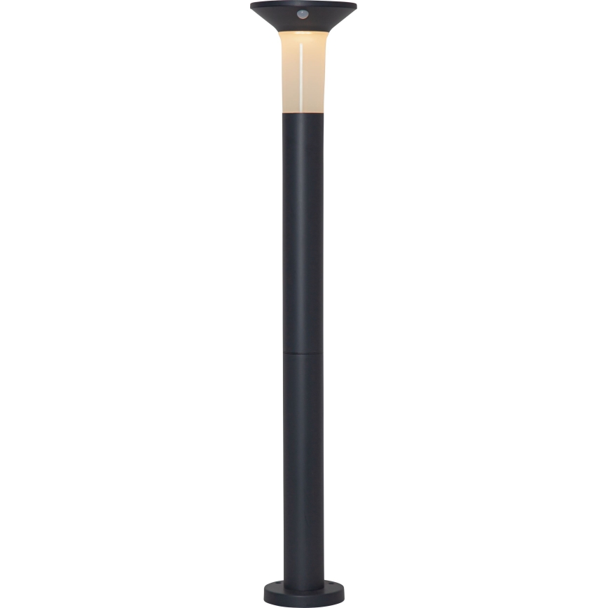 Eglo - LED Outdoor solar lamp with a sensor 6xLED/0,03W/3,7V IP44