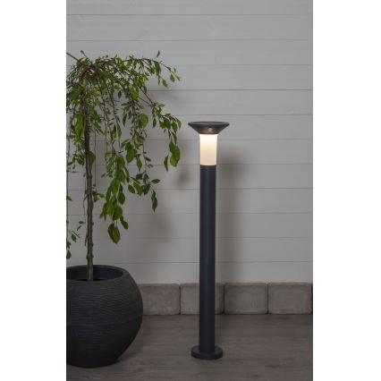 Eglo - LED Outdoor solar lamp with a sensor 6xLED/0,03W/3,7V IP44