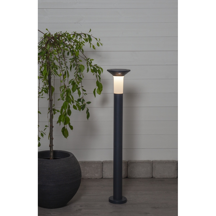 Eglo - LED Outdoor solar lamp with a sensor 6xLED/0,03W/3,7V IP44