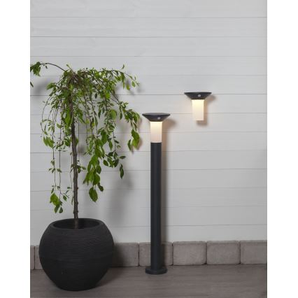 Eglo - LED Outdoor solar lamp with a sensor 6xLED/0,03W/3,7V IP44
