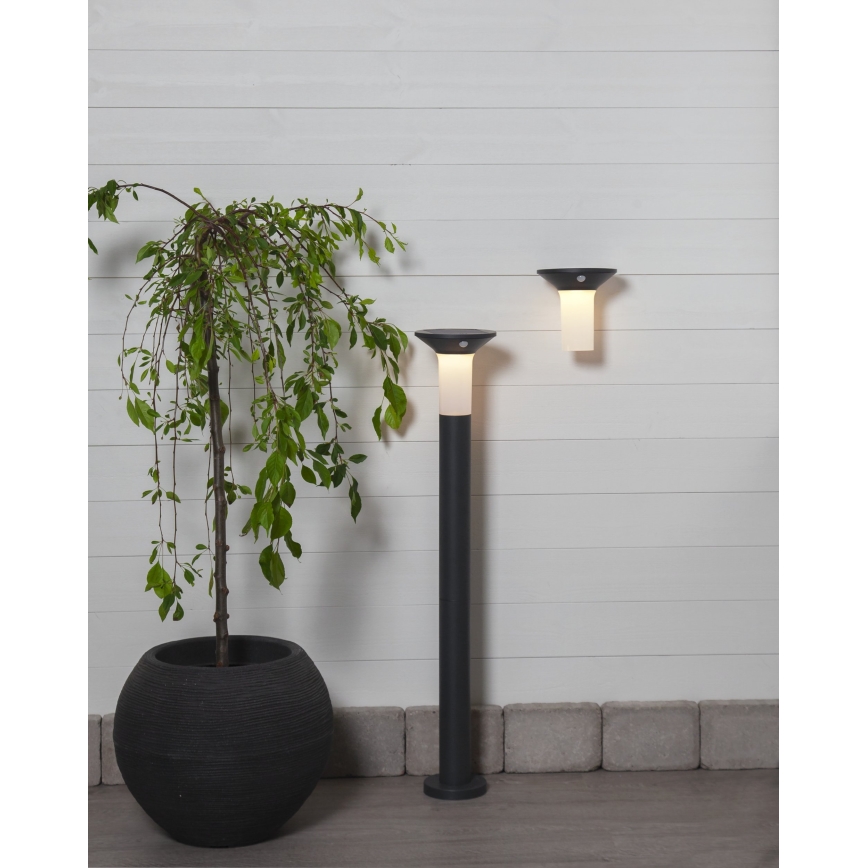 Eglo - LED Outdoor solar lamp with a sensor 6xLED/0,03W/3,7V IP44