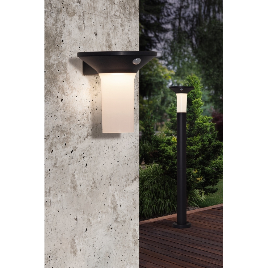 Eglo - LED Outdoor solar lamp with a sensor 6xLED/0,03W/3,7V IP44