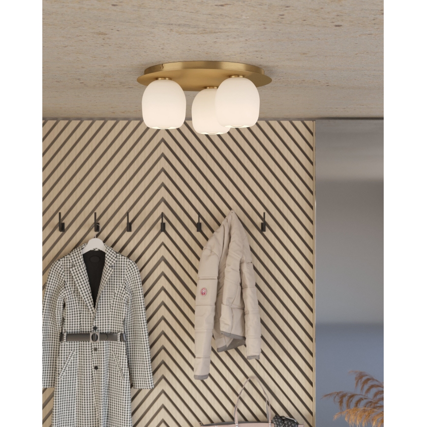 Eglo - Ceiling light 3xE27/40W/230V
