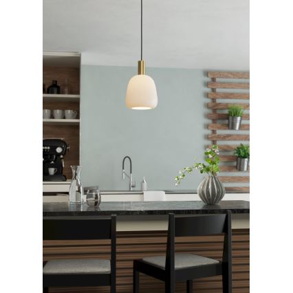 Eglo - Chandelier on a string 1xE27/40W/230V