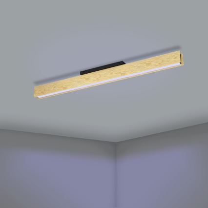 Eglo - LED RGBW Dimmable ceiling light LED/35W/230V 2700-6500K
