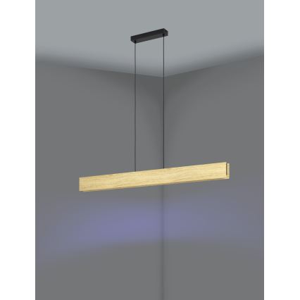 Eglo - LED RGBW Dimmable chandelier on a string LED/35W/230V 2700-6500K