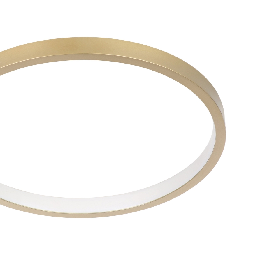 Eglo - LED Dimmable ceiling light LED/15W/230V gold + remote control