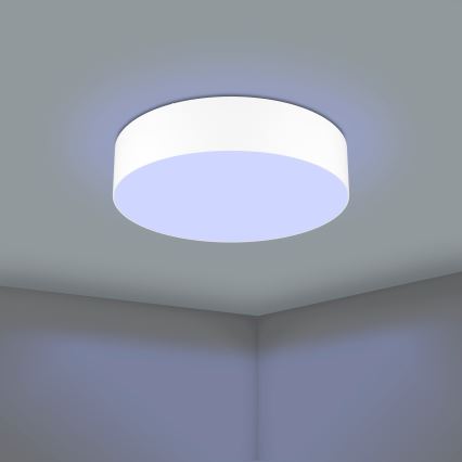 Eglo - LED RGBW Dimmable ceiling light LED/35W/230V 2700-6500K white