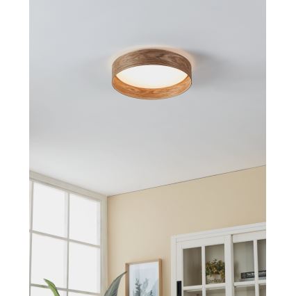 Eglo - LED Ceiling light LED/24W/230V