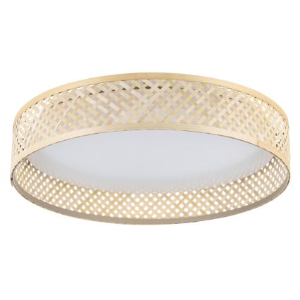 Eglo - LED Ceiling light LED/24W/230V