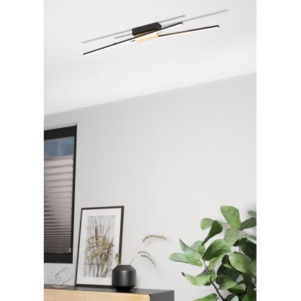 Eglo - LED Dimmable ceiling light 2xLED/13W/230V