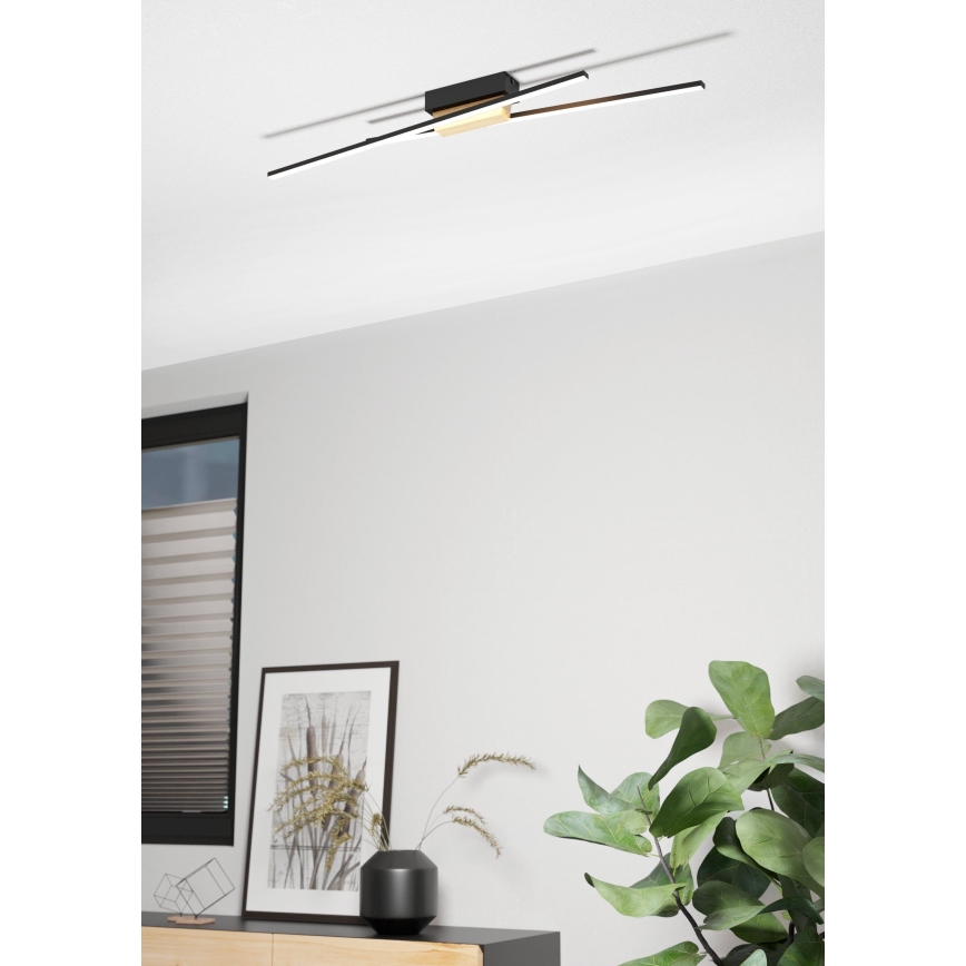 Eglo - LED Dimmable ceiling light 2xLED/13W/230V