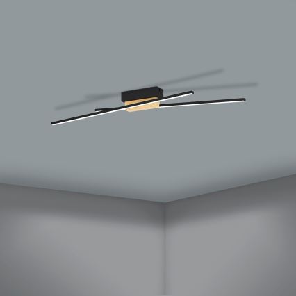 Eglo - LED Dimmable ceiling light 2xLED/13W/230V