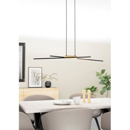 Eglo - LED Dimmable chandelier on a string 2xLED/13W/230V