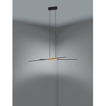 Eglo - LED Dimmable chandelier on a string 2xLED/13W/230V