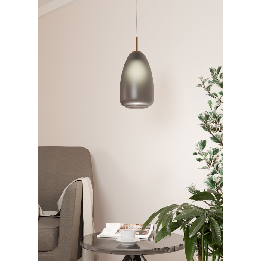 Eglo - Chandelier on a string 1xE27/40W/230V