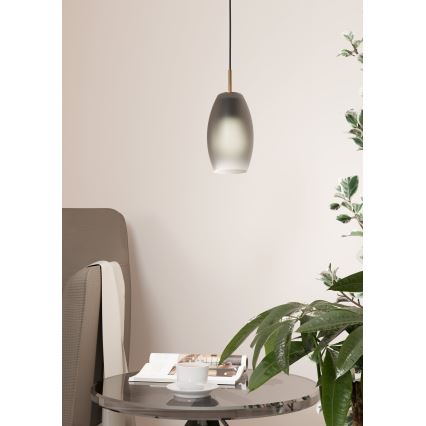 Eglo - Chandelier on a string 1xE27/40W/230V
