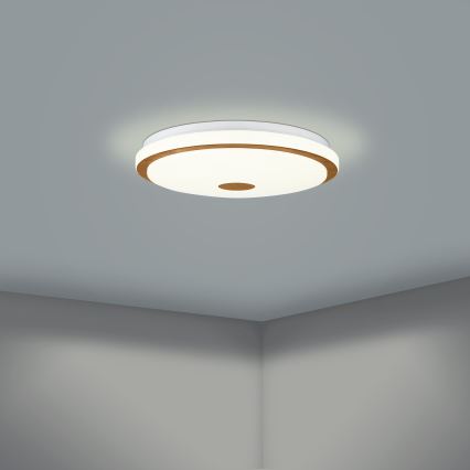 Eglo - LED Dimmable ceiling light LED/24W/230V + remote control