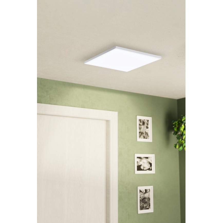 Eglo - LED Ceiling light LED/10,8W/230V