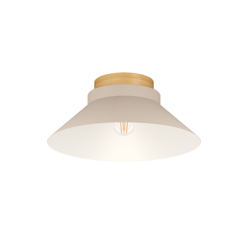Eglo - Ceiling light 1xE27/40W/230V