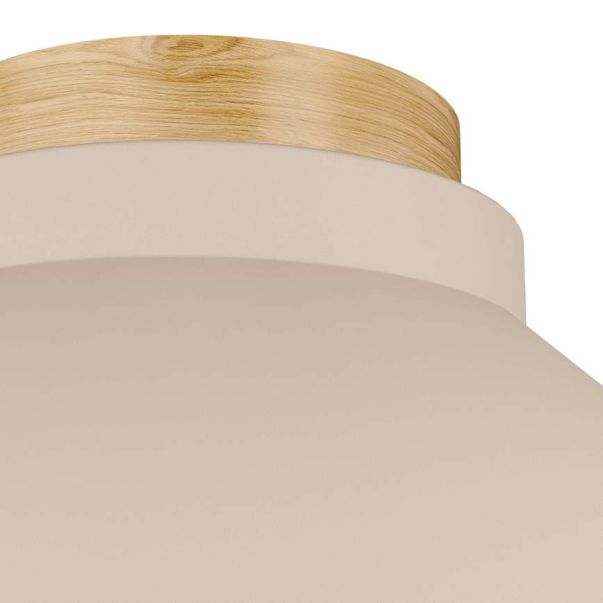 Eglo - Ceiling light 1xE27/40W/230V
