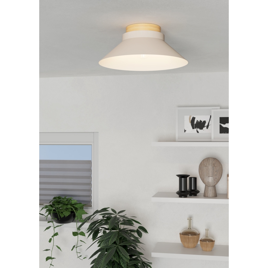 Eglo - Ceiling light 1xE27/40W/230V