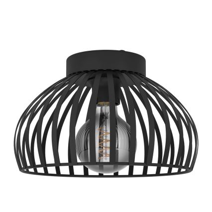 Eglo - Ceiling light 1xE27/40W/230V d. 28 cm