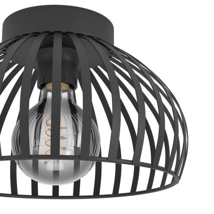 Eglo - Ceiling light 1xE27/40W/230V d. 28 cm