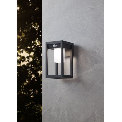 Eglo - LED Solar wall light with sensor LED/3,7W/3,7V IP44