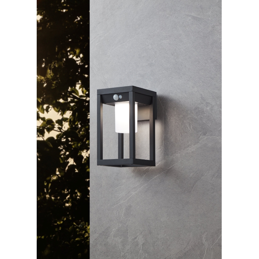 Eglo - LED Solar wall light with sensor LED/3,7W/3,7V IP44