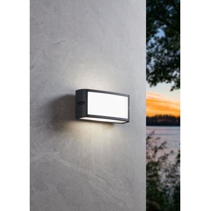 Eglo - LED Outdoor wall light LED/10,5W/230V anthracite IP54
