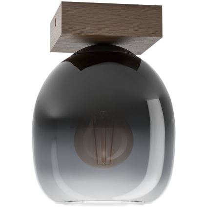 Eglo - Ceiling light 1xE27/40W/230V