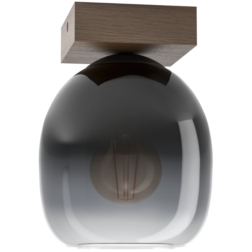 Eglo - Ceiling light 1xE27/40W/230V