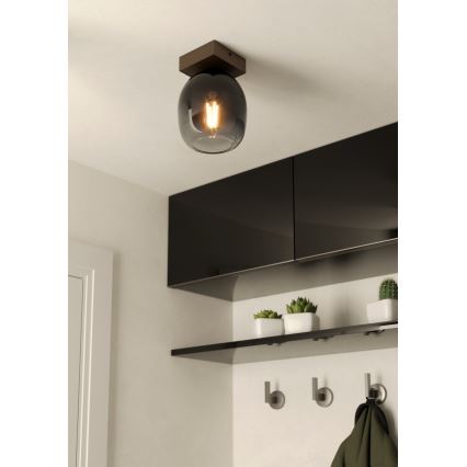 Eglo - Ceiling light 1xE27/40W/230V