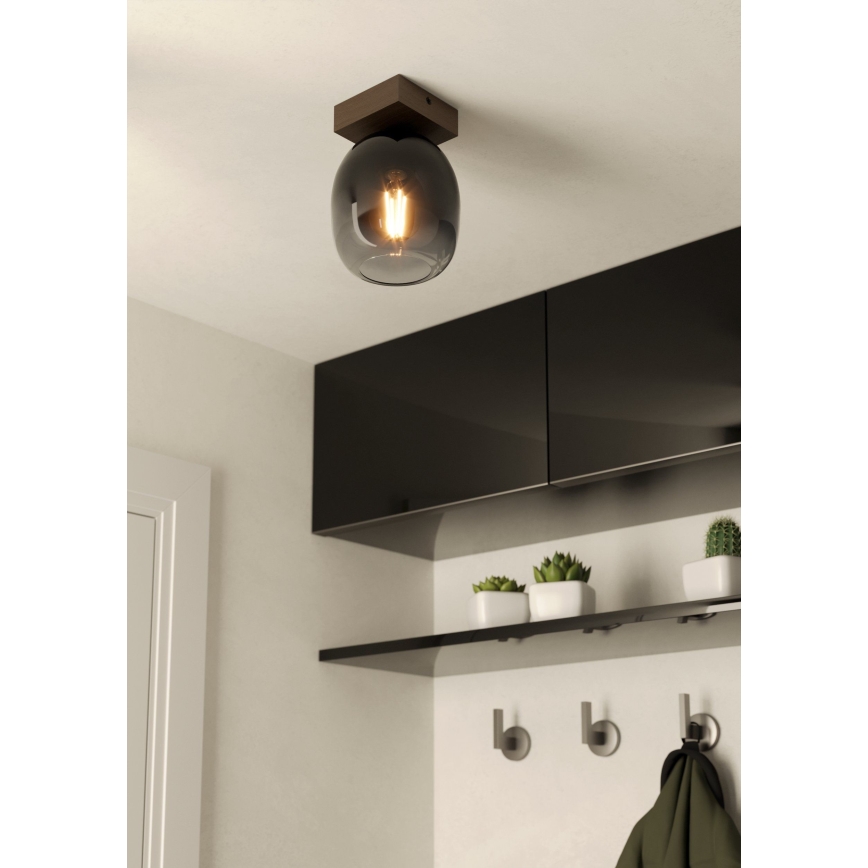 Eglo - Ceiling light 1xE27/40W/230V