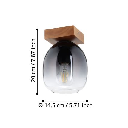 Eglo - Ceiling light 1xE27/40W/230V
