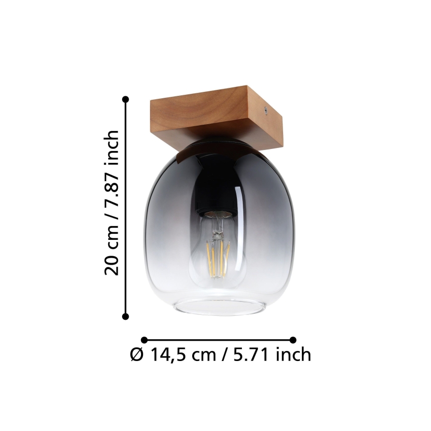 Eglo - Ceiling light 1xE27/40W/230V