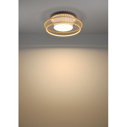 Eglo - LED RGBW Dimmable ceiling light LED/22W/230V 2700-6500K
