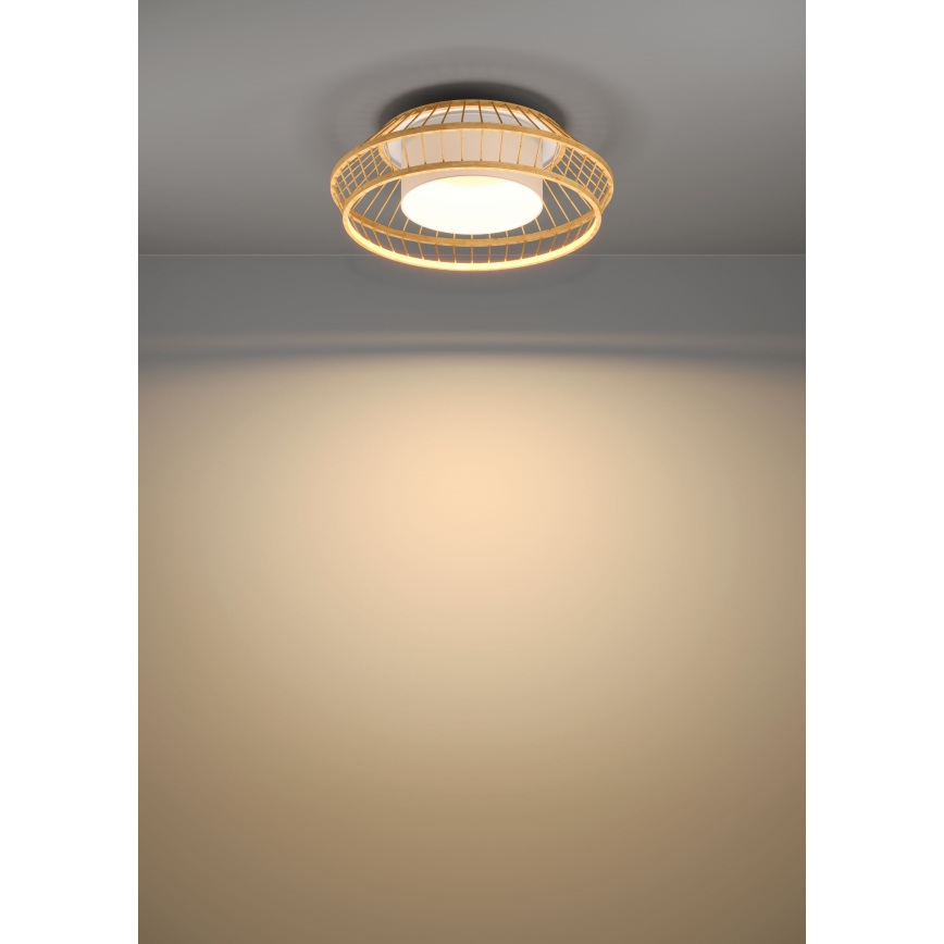 Eglo - LED RGBW Dimmable ceiling light LED/22W/230V 2700-6500K