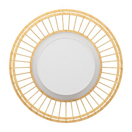 Eglo - LED RGBW Dimmable ceiling light LED/22W/230V 2700-6500K