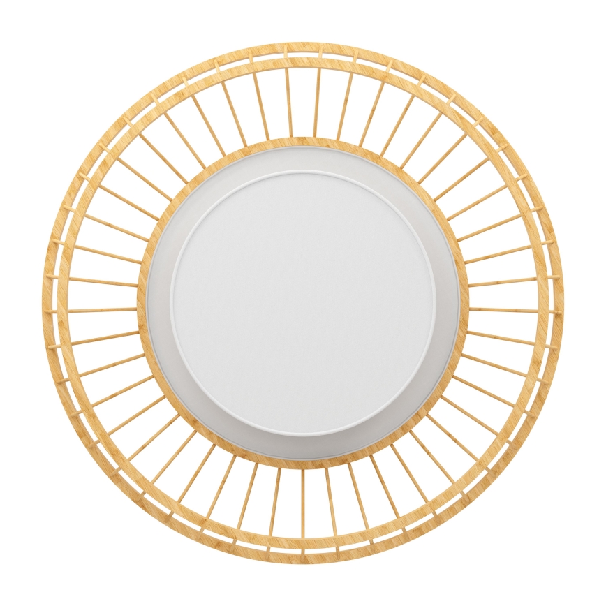 Eglo - LED RGBW Dimmable ceiling light LED/22W/230V 2700-6500K