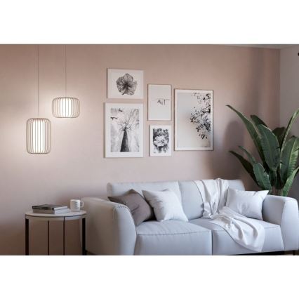 Eglo - Chandelier on a string 1xE27/40W/230V d. 28,5 cm