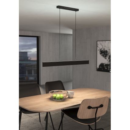 Eglo - LED RGBW Dimmable chandelier on a string LED/38W/230V 2700-6500K black