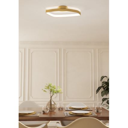 Eglo - LED Dimmable ceiling light LED/25,2W/230V