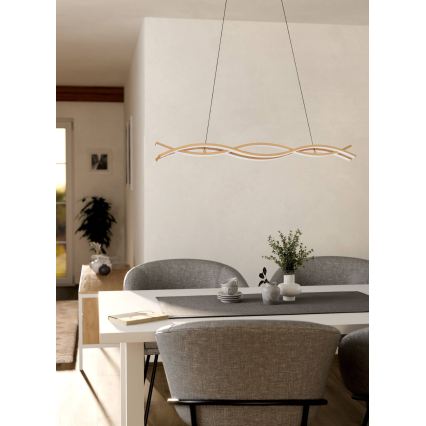 Eglo - LED Pendant Light on Cable LED/35W/230V Gold