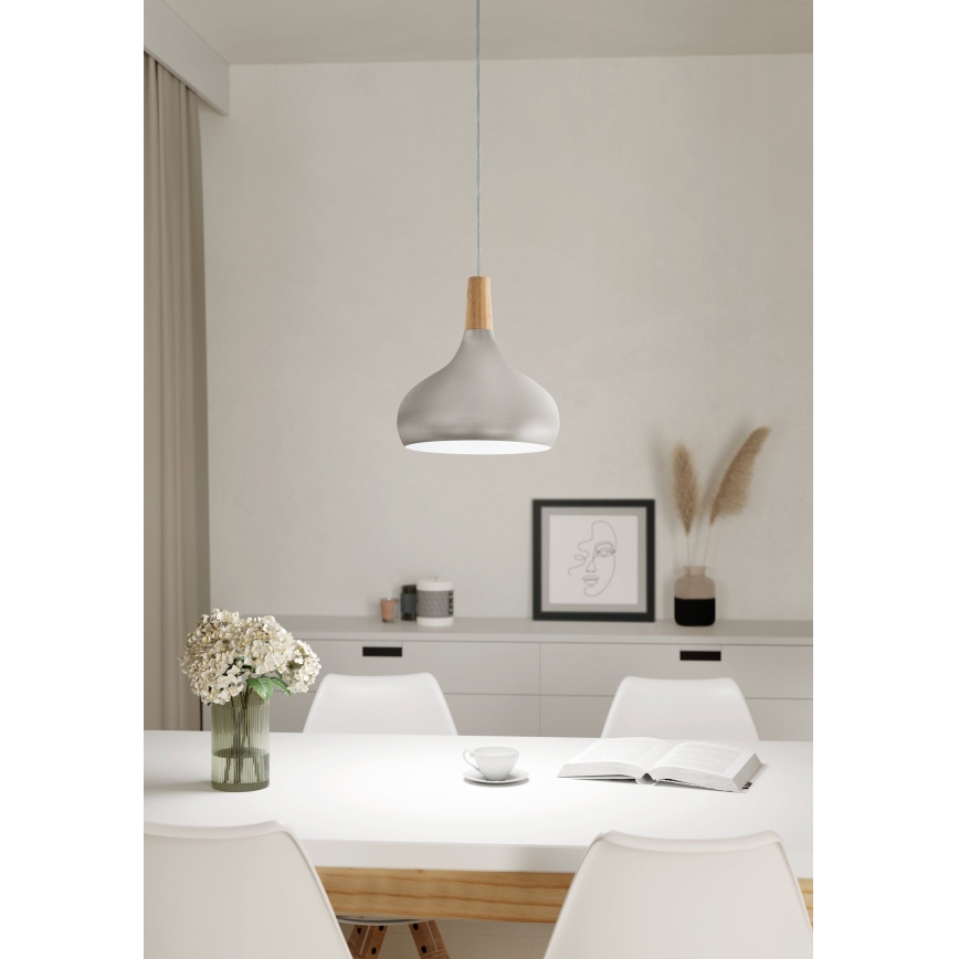 Eglo - Cable-suspended pendant lamp, 1x E27/60W/230V, Ø 28 cm, silver