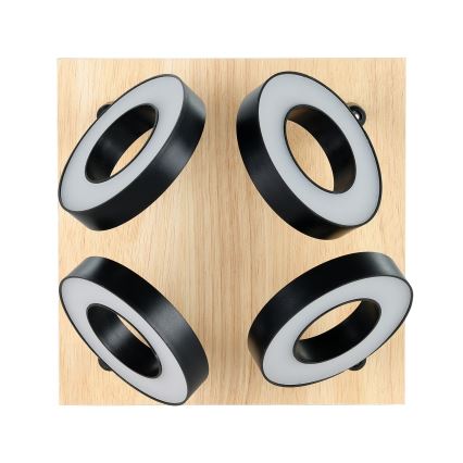 Eglo - LED Spotlight 4xLED/4.2W/230V Black/Brown